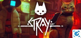 L'edizione fisica di Stray è disponibile su Switch