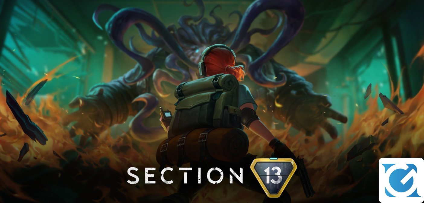 Section 13